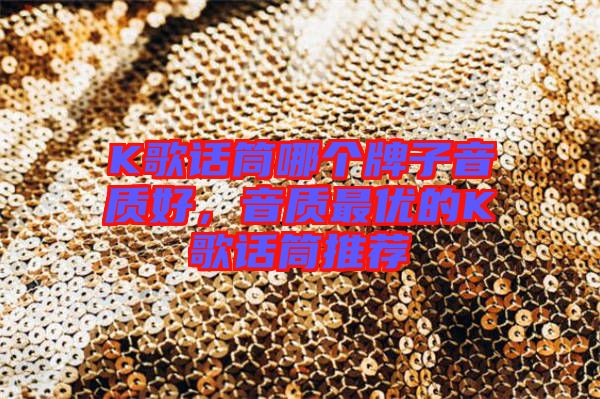 K歌話筒哪個(gè)牌子音質(zhì)好,音質(zhì)最優(yōu)的K歌話筒推薦
