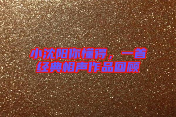 小沈陽你懂得，一首經典相聲作品回顧