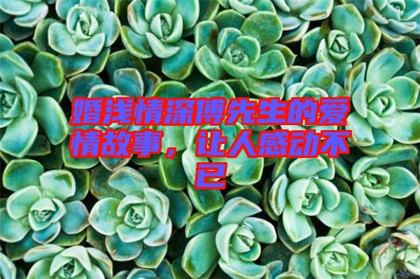 婚淺情深傅先生的愛情故事,讓人感動不已