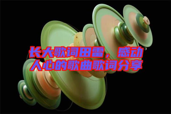長大歌詞田雷,感動人心的歌曲歌詞分享