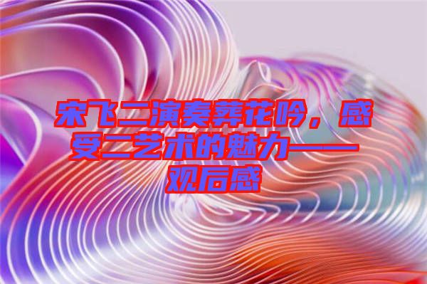 宋飛二演奏葬花吟，感受二藝術(shù)的魅力——觀后感