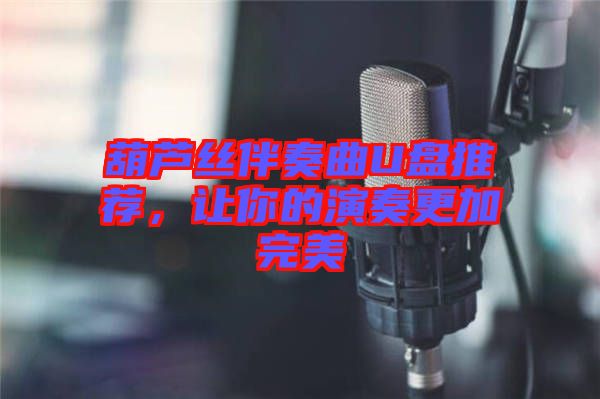 葫蘆絲伴奏曲U盤推薦,讓你的演奏更加完美