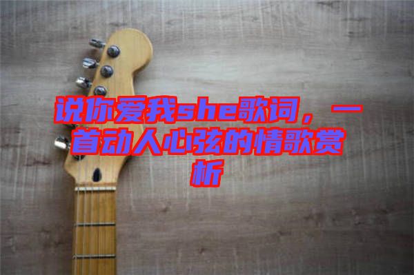 說你愛我she歌詞，一首動人心弦的情歌賞析