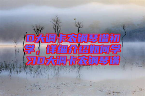 D大調卡農鋼琴譜初學,詳細介紹如何學習D大調卡農鋼琴譜