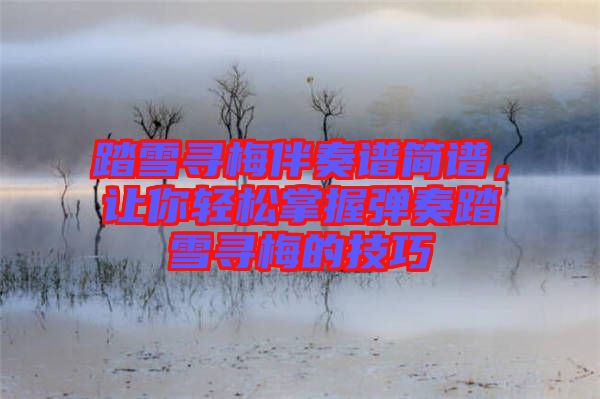 踏雪尋梅伴奏譜簡譜,讓你輕松掌握彈奏踏雪尋梅的技巧