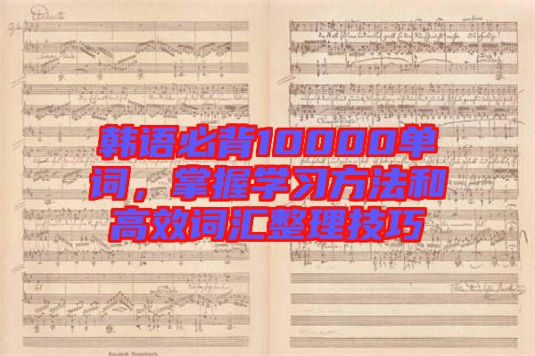 韓語(yǔ)必背10000單詞,掌握學(xué)習(xí)方法和高效詞匯整理技巧