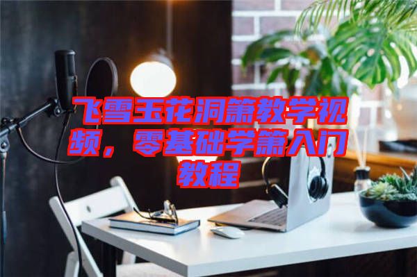 飛雪玉花洞簫教學視頻，零基礎學簫入門教程
