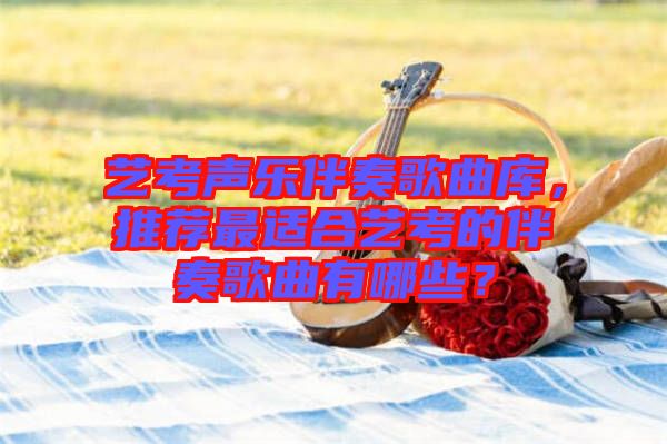 藝考聲樂(lè)伴奏歌曲庫(kù),推薦最適合藝考的伴奏歌曲有哪些?