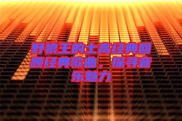 野狼王的士高經(jīng)典回顧經(jīng)典歌曲，探尋音樂(lè)魅力