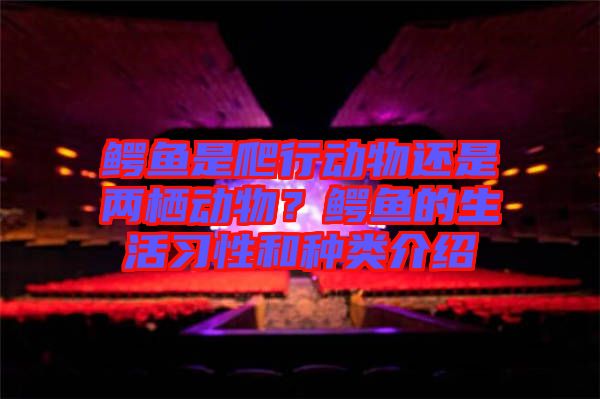 鱷魚是爬行動物還是兩棲動物？鱷魚的生活習性和種類介紹