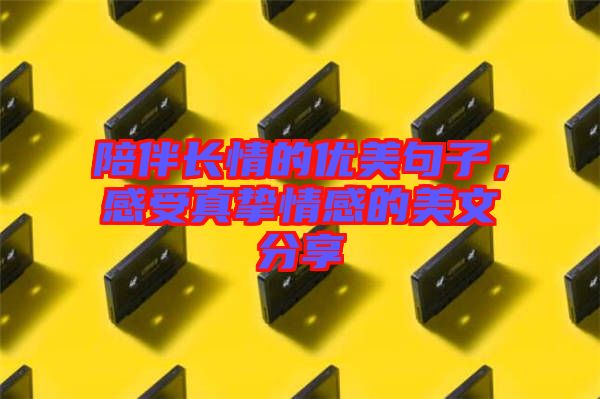 陪伴長(zhǎng)情的優(yōu)美句子,感受真摯情感的美文分享