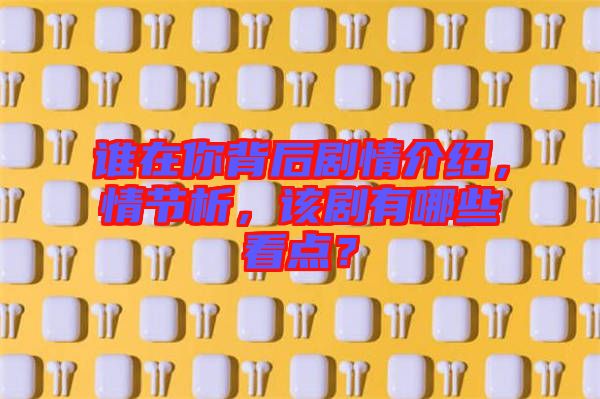 誰在你背后劇情介紹,情節析,該劇有哪些看點?