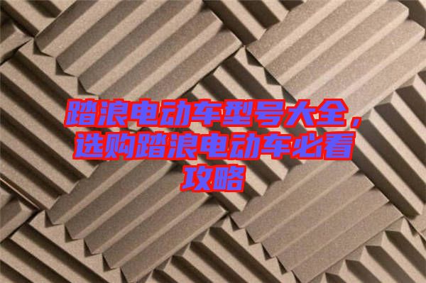 踏浪電動(dòng)車(chē)型號(hào)大全,選購(gòu)踏浪電動(dòng)車(chē)必看攻略