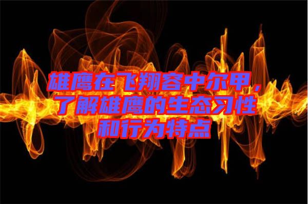 雄鷹在飛翔容中爾甲,了解雄鷹的生態(tài)習(xí)性和行為特點(diǎn)