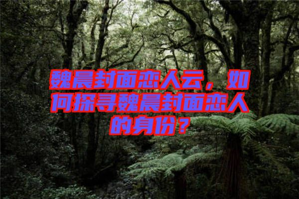 魏晨封面戀人云,如何探尋魏晨封面戀人的身份?