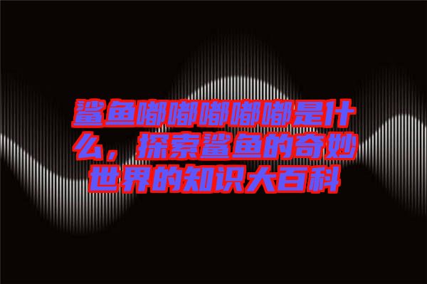鯊魚嘟嘟嘟嘟嘟是什么,探索鯊魚的奇妙世界的知識(shí)大百科