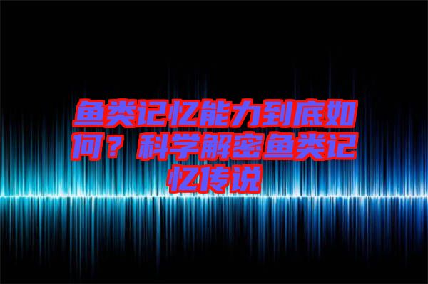 魚類記憶能力到底如何?科學解密魚類記憶傳說