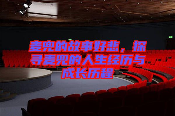 麥兜的故事好悲,探尋麥兜的人生經(jīng)歷與成長(zhǎng)歷程