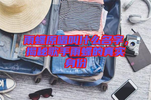雨蝶原唱叫什么名字,揭秘歌手雨蝶的真實身份