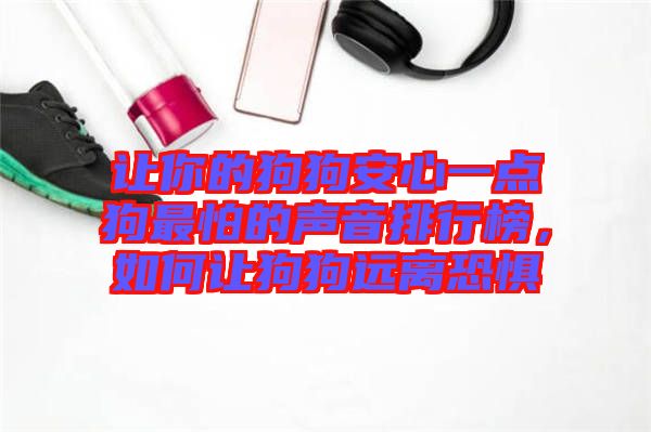 讓你的狗狗安心一點狗最怕的聲音排行榜，如何讓狗狗遠離恐懼