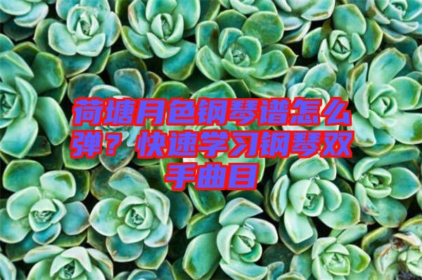 荷塘月色鋼琴譜怎么彈？快速學(xué)習(xí)鋼琴雙手曲目