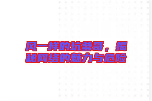 風一樣的坑爹哥,揭秘網絡的魅力與危險