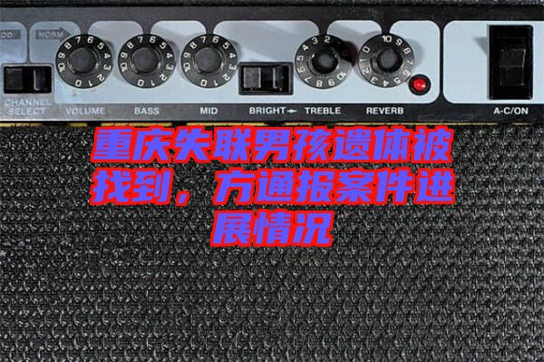 重慶失聯男孩遺體被找到，方通報案件進展情況