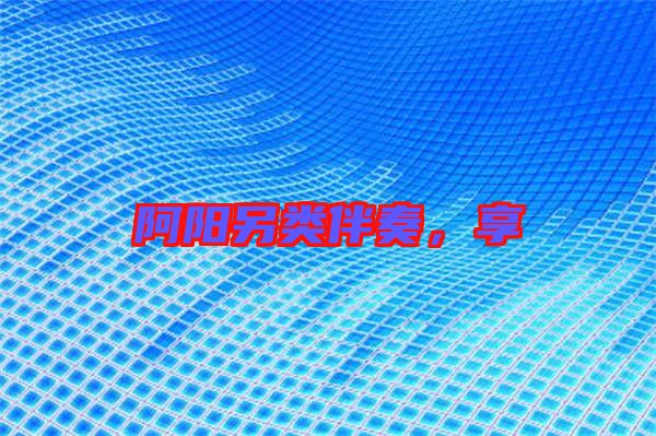 阿陽另類伴奏,享