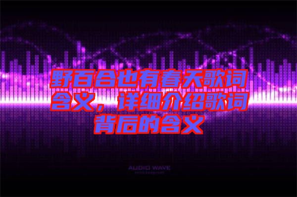 野百合也有春天歌詞含義，詳細介紹歌詞背后的含義